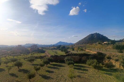 4 bedroom Villa for sale in Abanilla