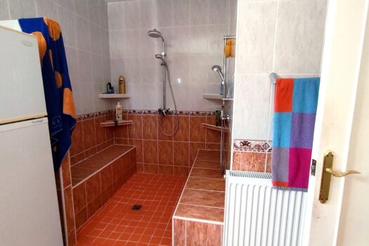 5 bedroom Finca for sale in Elche