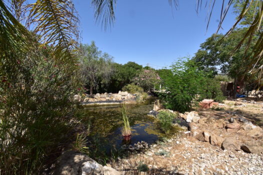 7 bedroom Finca for sale in Catral