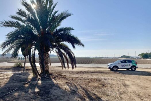 Plot for sale in La Marina