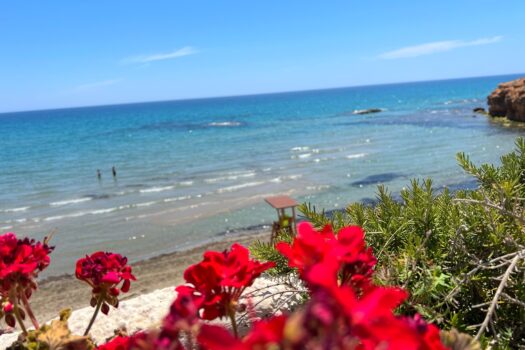Vila – 3 ložnice – Orihuela Costa