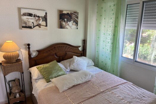 1 bedroom Apartment for sale in La Zenia