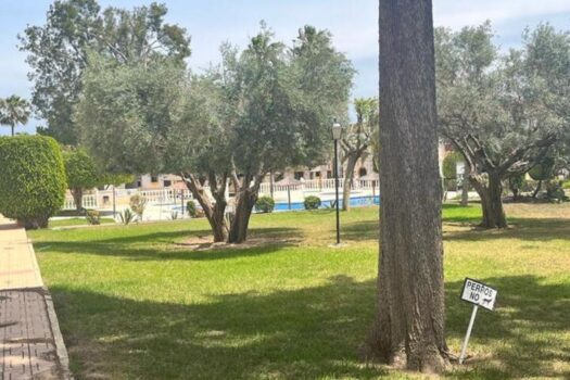 Apartmán – 1 ložnice – San Miguel de Salinas