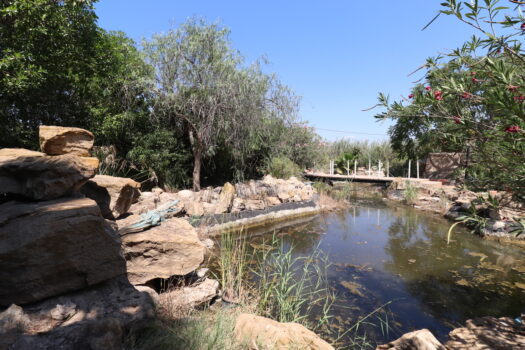 7 bedroom Villa for sale in Catral