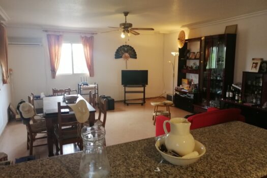 7 bedroom Finca for sale in Elche