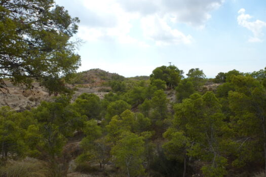 Plot for sale in Elche