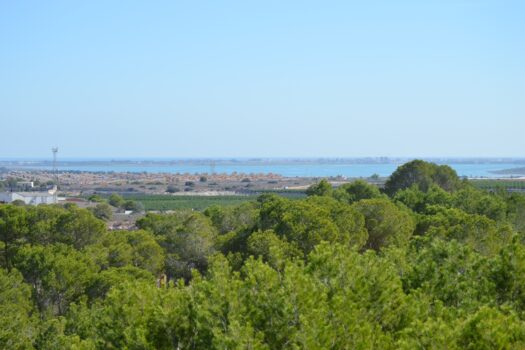 8 bedroom Villa for sale in Algorfa