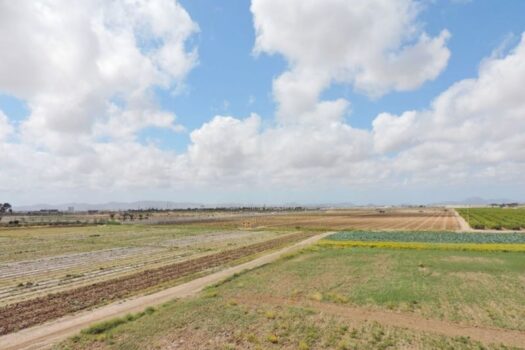 3 bedroom Villa for sale in Torre Pacheco