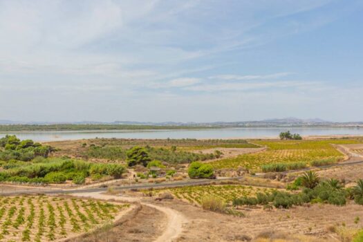 Spectacular apartment with views of the sea and the La Mata lagoon