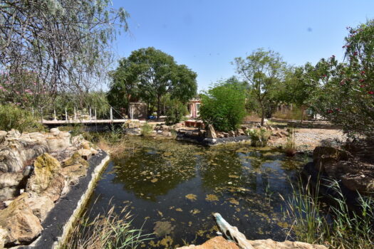 7 bedroom Finca for sale in Catral