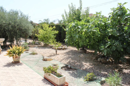 5 bedroom Villa for sale in Elche