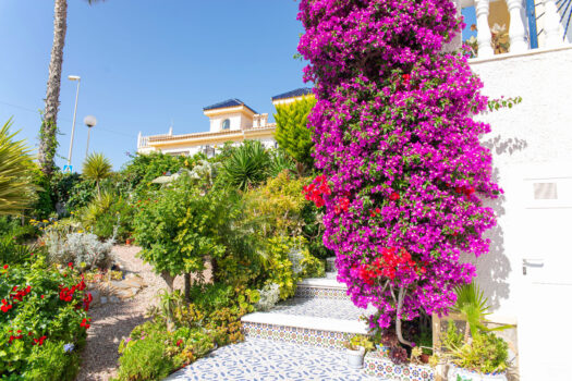 Vila – 3 ložnice – Ciudad Quesada