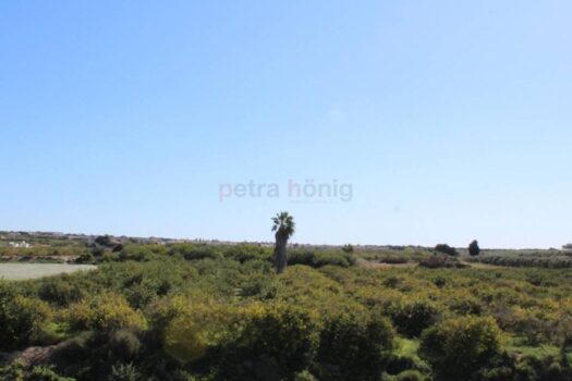 3 bedroom Villa for sale in Guardamar del Segura