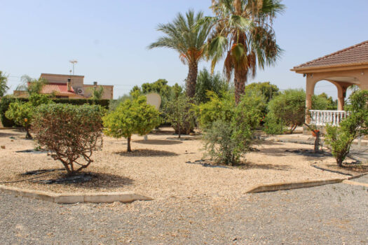 5 bedroom Villa for sale in Elche