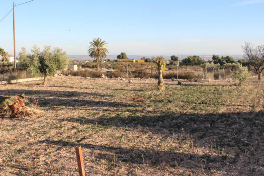 4 bedroom Finca for sale in Elche