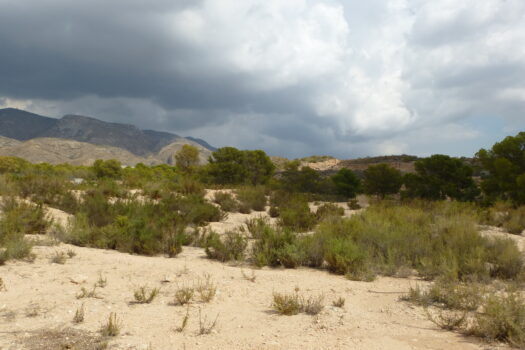 Plot for sale in Elche