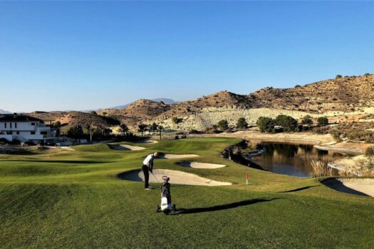 2 bedroom Townhouse for sale in Monforte del Cid