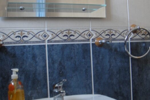 7 bedroom Finca for sale in Elche