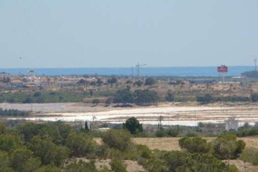 Plot for sale in Algorfa