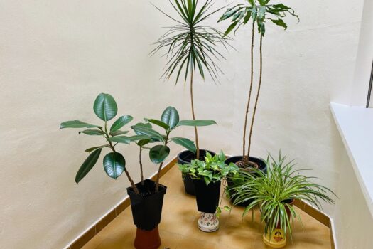 2 bedroom Apartment for sale in Torrevieja