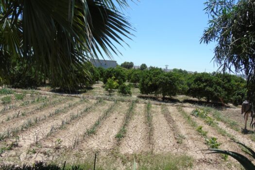 Pozemek – Rojales