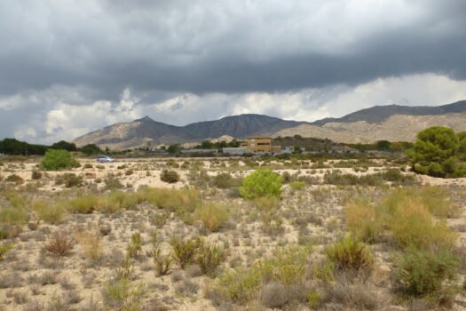 Plot for sale in Elche