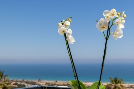 2 bedroom Apartment for sale in Santa Pola