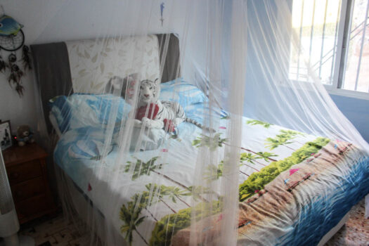 4 bedroom Finca for sale in Elche