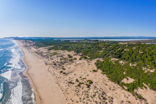 4 bedroom Villa for sale in Rojales