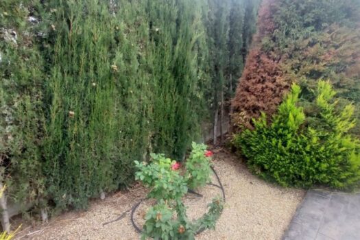 5 bedroom Villa for sale in Hondon de las Nieves