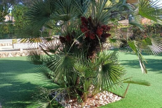 6 bedroom Villa for sale in Campoamor