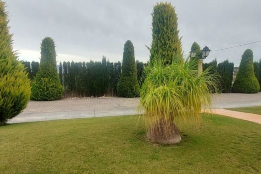 5 bedroom Villa for sale in Hondon de las Nieves