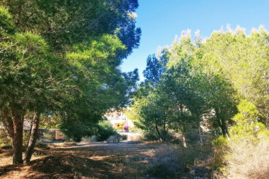 Plot for sale in Algorfa
