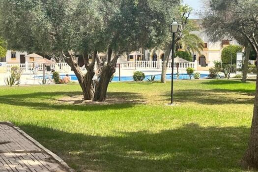 Apartmán – 1 ložnice – San Miguel de Salinas