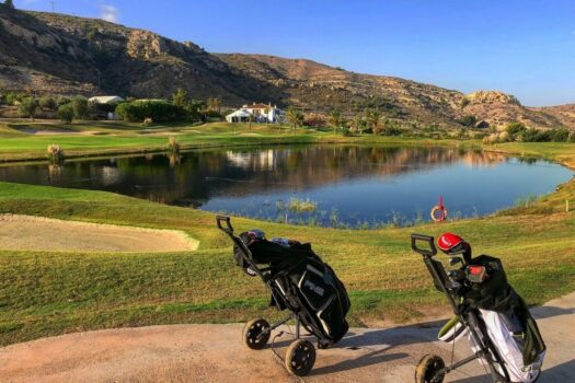 2 bedroom Townhouse for sale in Monforte del Cid