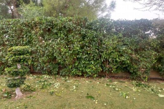 5 bedroom Villa for sale in Hondon de las Nieves