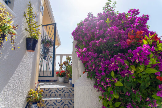 Vila – 3 ložnice – Ciudad Quesada