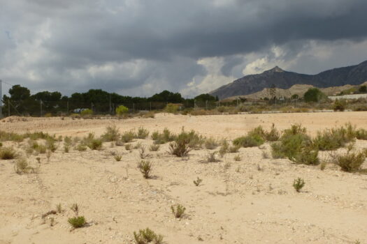 bdfa3bd73be2c9c3365a