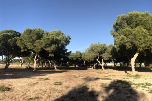 3 bedroom Villa for sale in Santiago de la Ribera