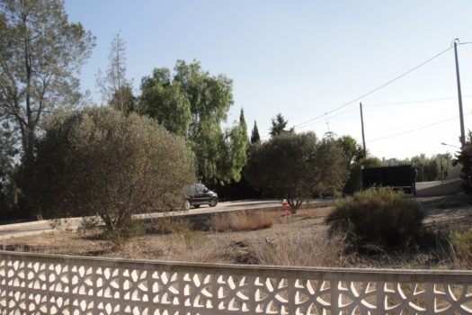 7 bedroom Finca for sale in Elche