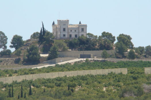 Plot for sale in Algorfa