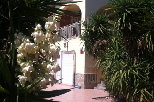 7 bedroom Finca for sale in Elche