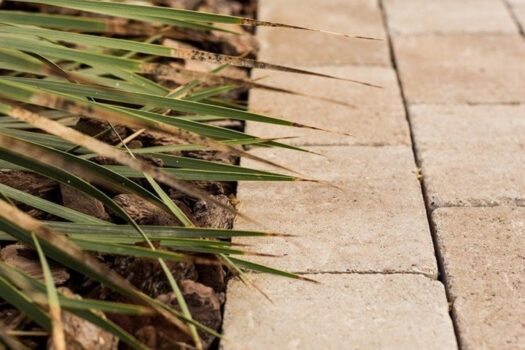 7 bedroom Villa for sale in Pilar de la Horadada