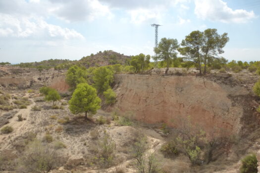 Plot for sale in Elche