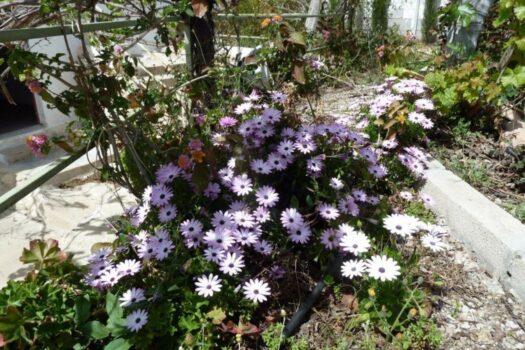 4 bedroom Villa for sale in Murcia