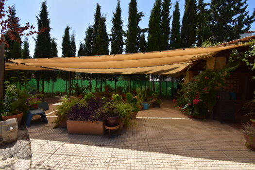 7 bedroom Finca for sale in Catral