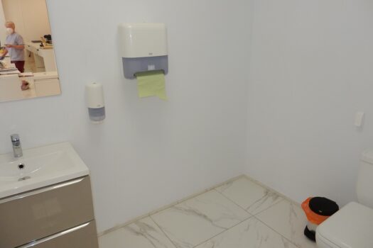 Commercial for sale in Daya Vieja