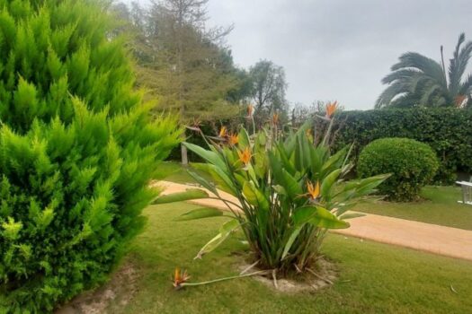 5 bedroom Villa for sale in Hondon de las Nieves