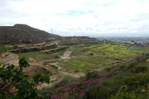 2 bedroom Villa for sale in Ciudad Quesada