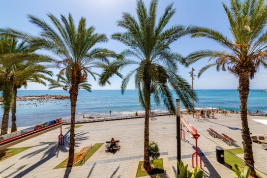 Apartmán v centru města Torrevieja